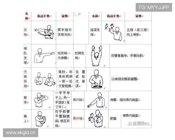 打手犯规怎么判？教你快速看懂裁判手势，防止被吹恶意动作。